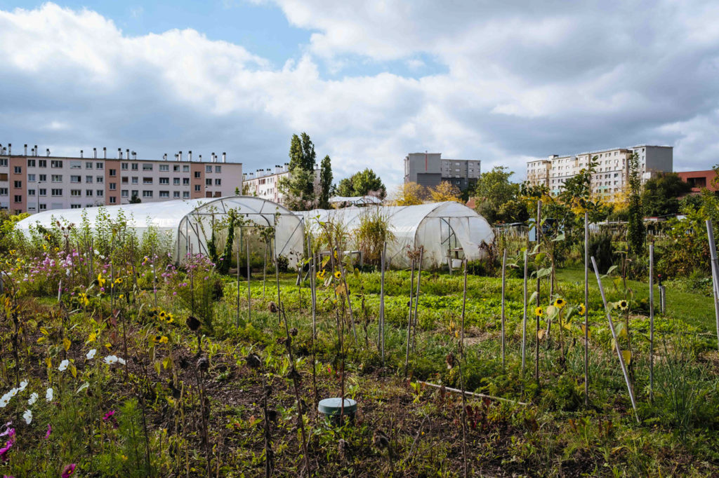 Visite de Zone Sensible, ferme urbaine située a Saint-Denis mêlant terres agricoles et expérimentations artistiques